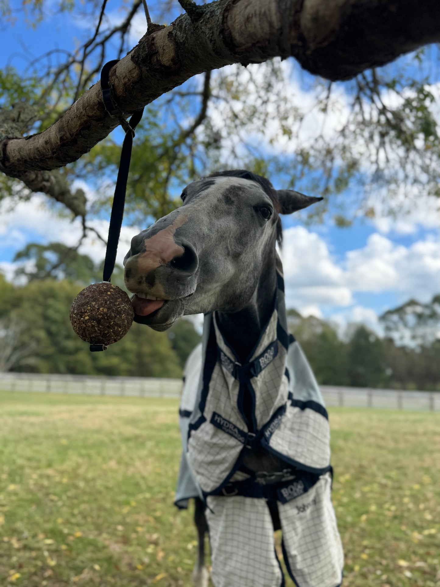 StayBall