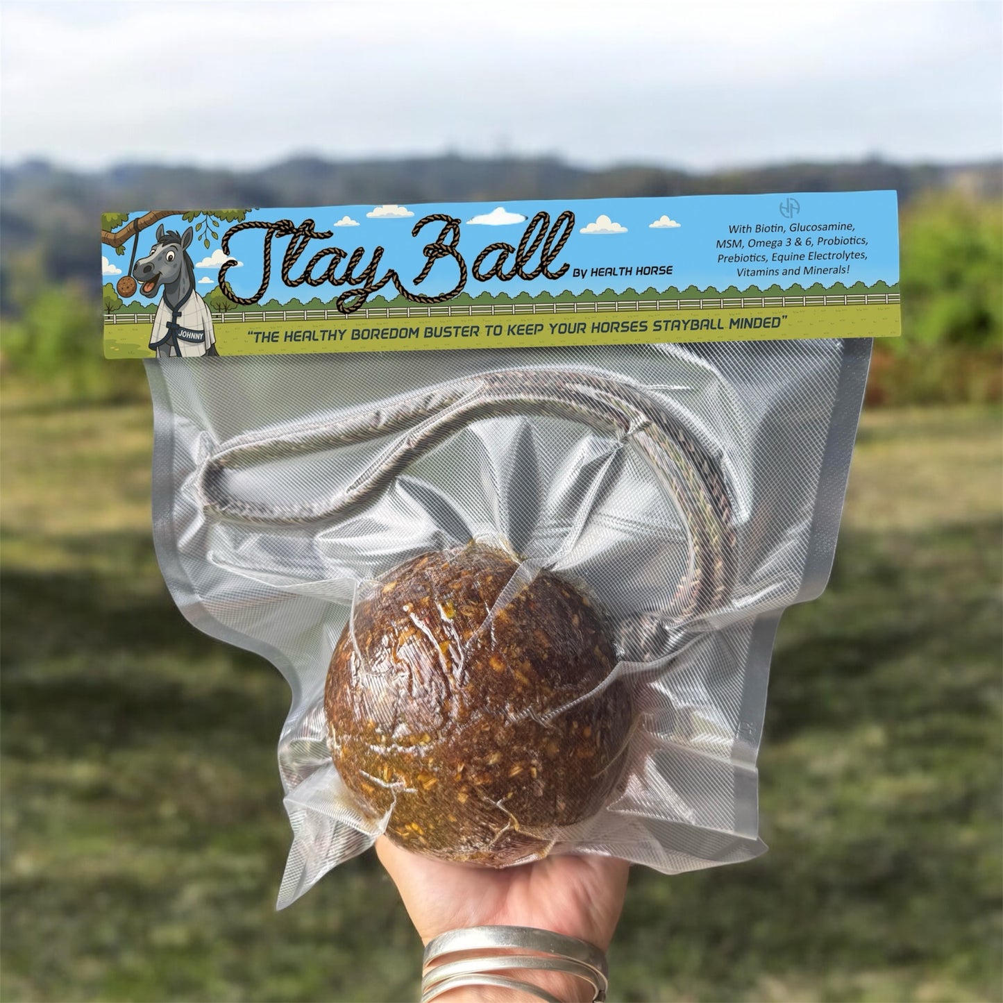StayBall