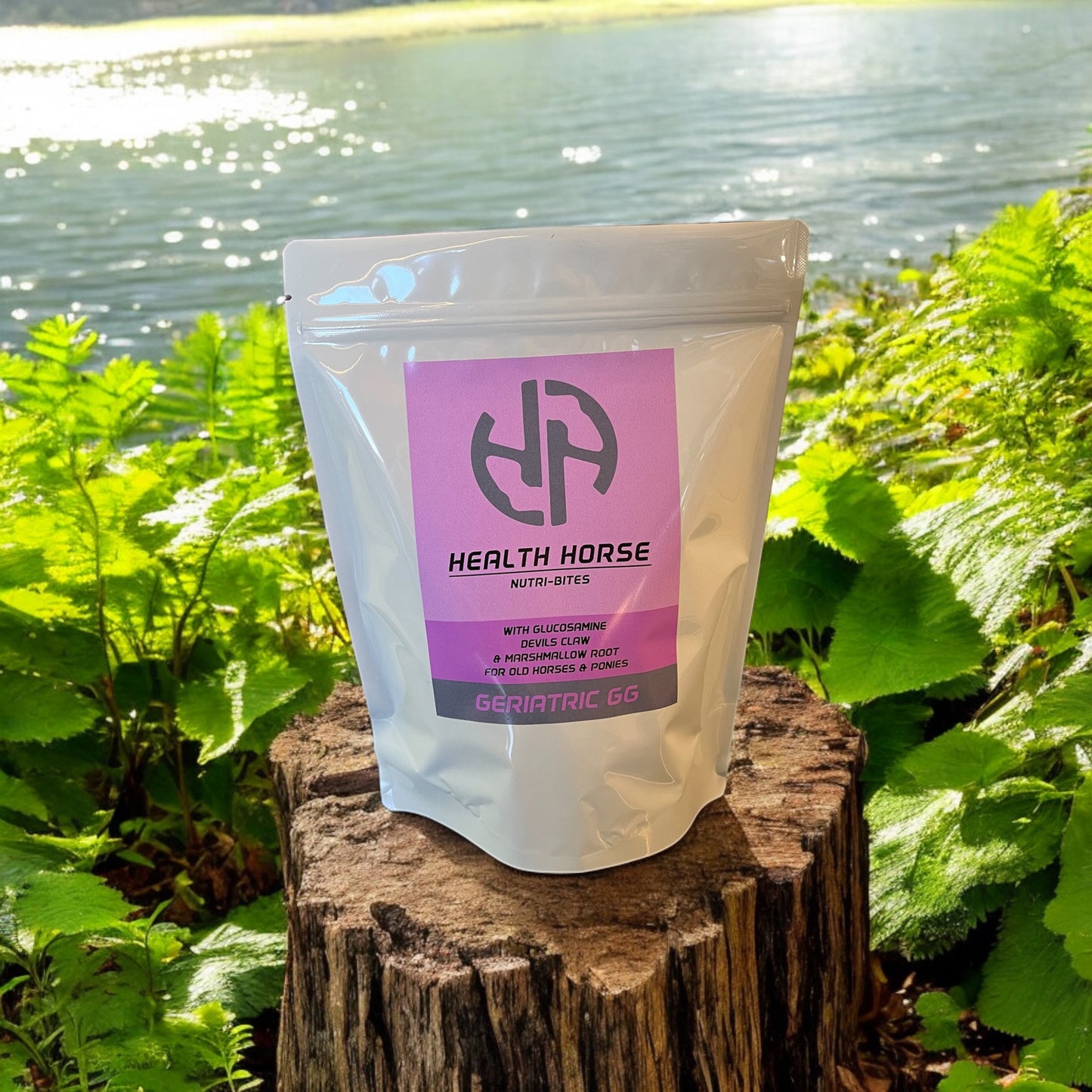 GERIATRIC GG Nutri-Bites