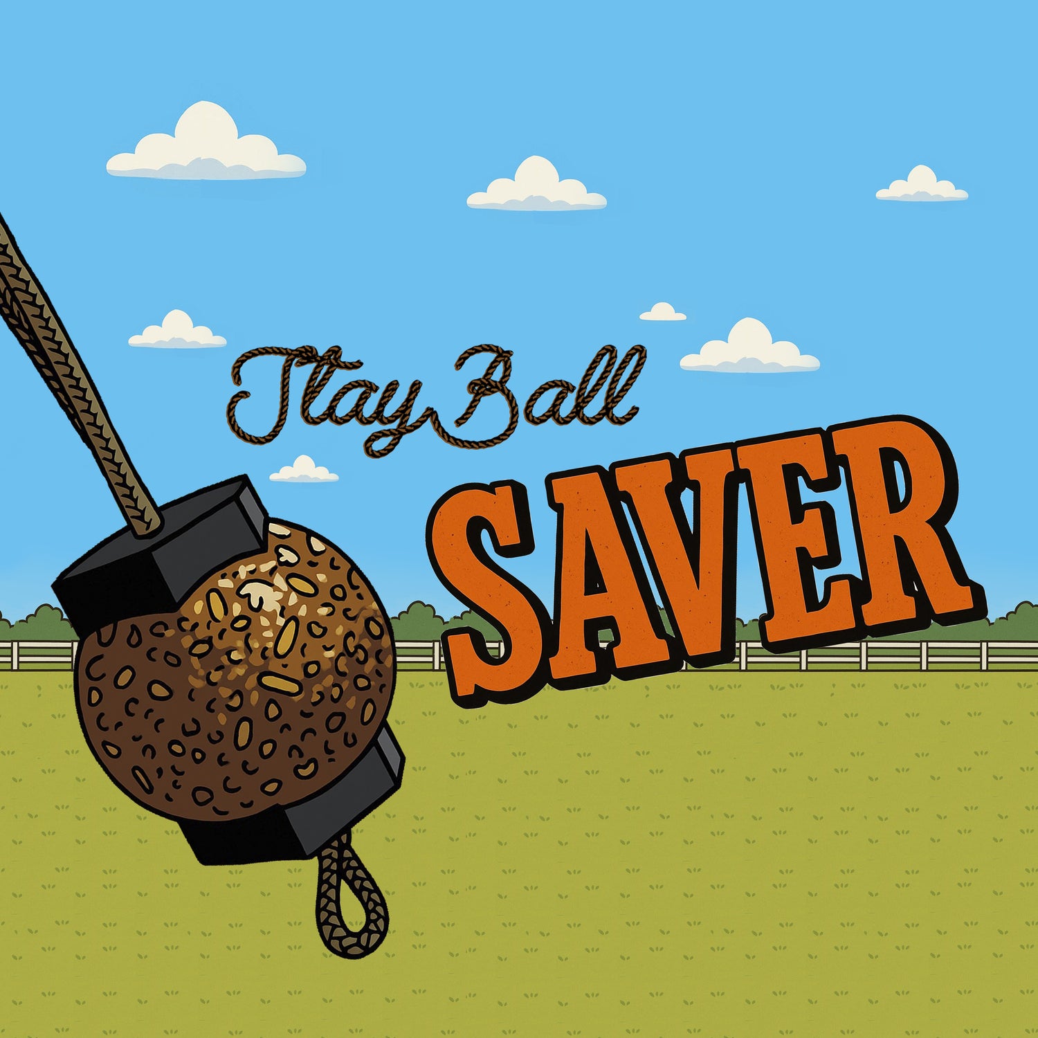 NEW! StayBall Saver