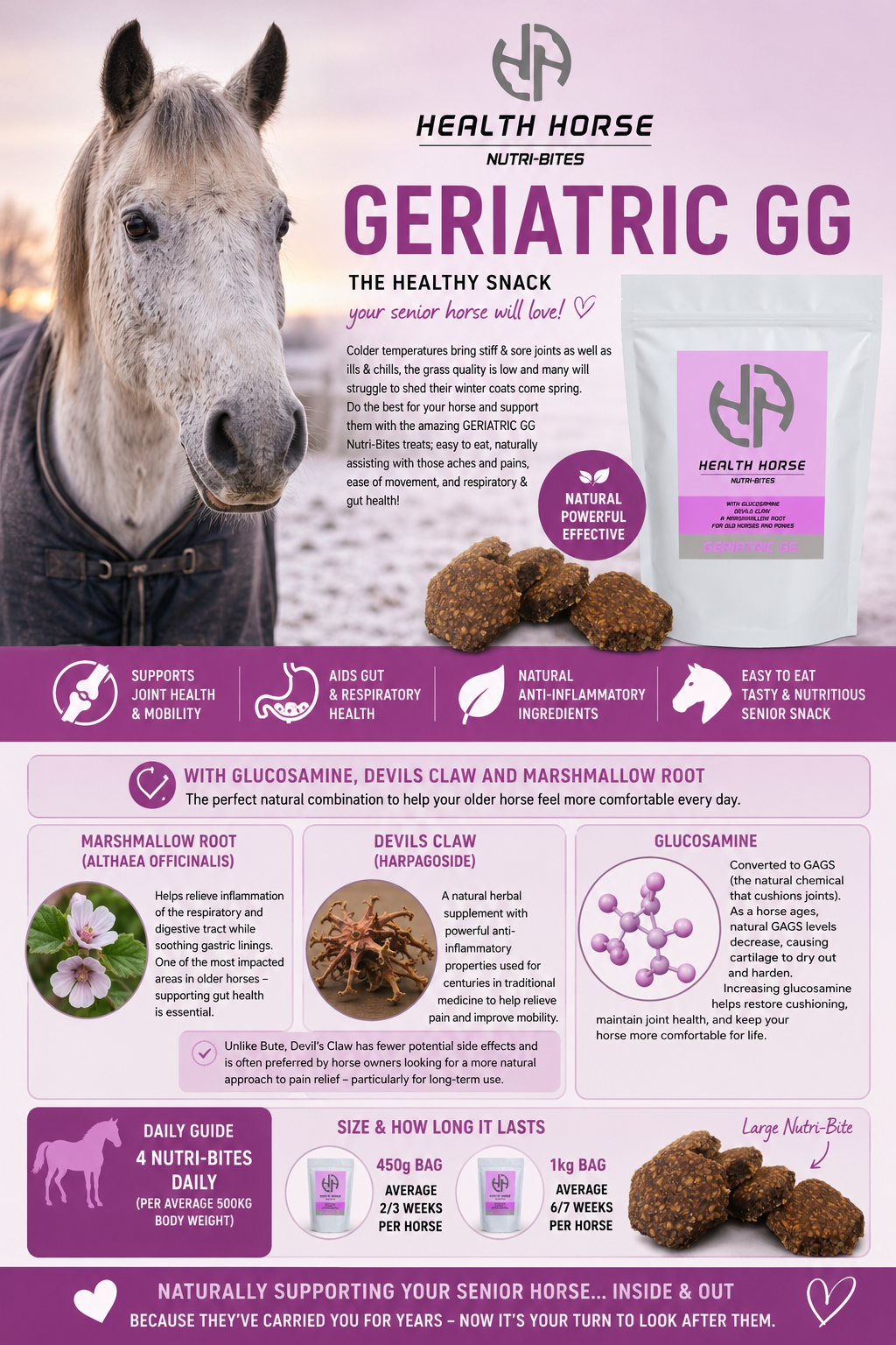 GERIATRIC GG Nutri-Bites